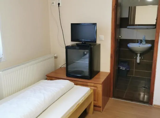 Motel, Vigado Csarda Nocleg ze śniadaniem
